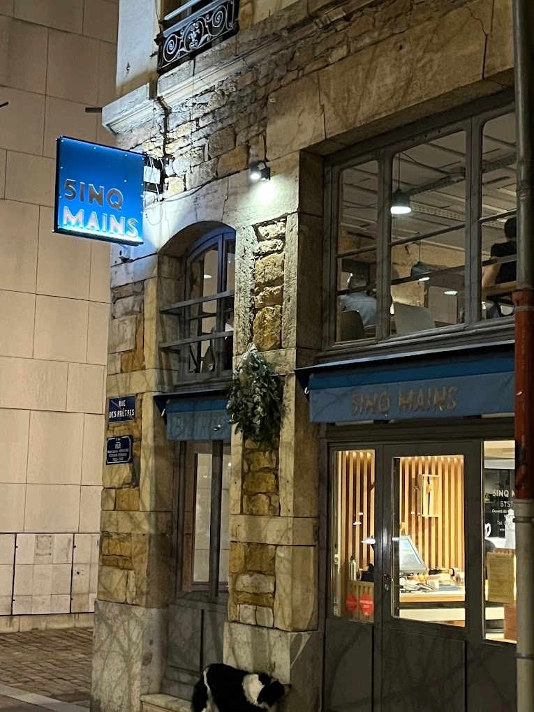 Cinq Mains Lyon 5