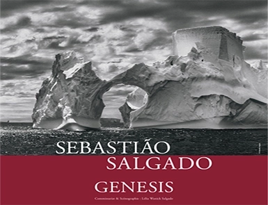 Exposition "Genesis" de Sebastião Salgado à Lyon : Un Voyage Photographique au Cœur de la Planète