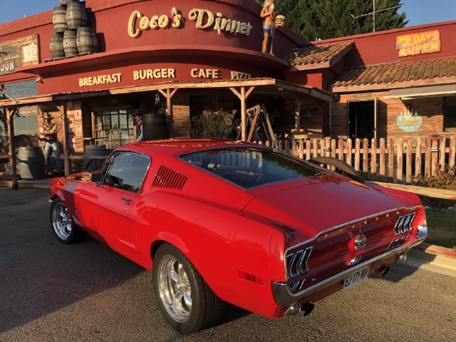 Coco's Dinner